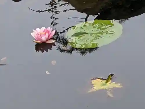 善知鳥神社(青森県)
