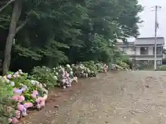 白山神社の庭園