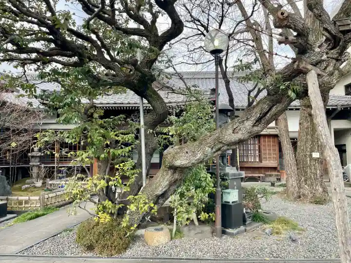 永稱寺の{uncategorized: "未分類", other: "その他", undefined: "問題あり", building: "その他建物", grave: "お墓", sacred_gate: "鳥居", guardian: "狛犬", statue: "像", buddha: "仏像", history: "歴史", nature: "自然", garden: "庭園", animal: "動物", pagoda: "塔", temizu: "手水舎", mountain_gate: "山門・神門", sanctuary: "本殿・本堂", subordinate: "末社・摂社", art: "芸術", scenery: "景色", jizo: "地蔵", ema: "絵馬", goshuin: "御朱印", omikuji: "おみくじ", items: "授与品その他", amulet: "お守り", goshuincho: "御朱印帳", eats: "食事", festival: "お祭り", votive_dance: "神楽", shichigosan: "七五三参", wedding: "結婚式", experience: "体験その他", initially: "初詣", around: "周辺", anti_infection: "感染症対策"}