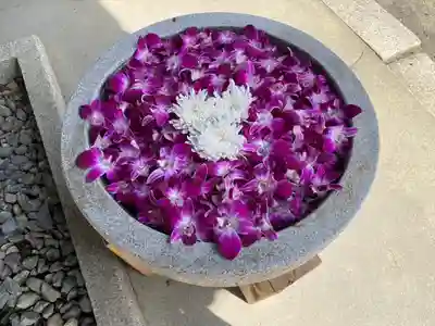 美濃國一宮　南宮大社の手水舎