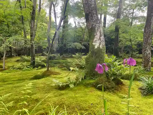 祇王寺(京都府)