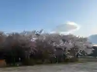 坪沼八幡神社の自然