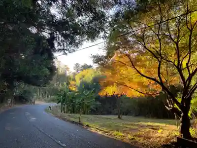 子安神社の周辺