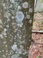 東町神社(千葉県)