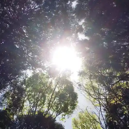 沼尾神社の自然