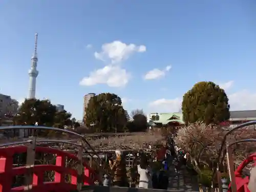 亀戸天神社の景色