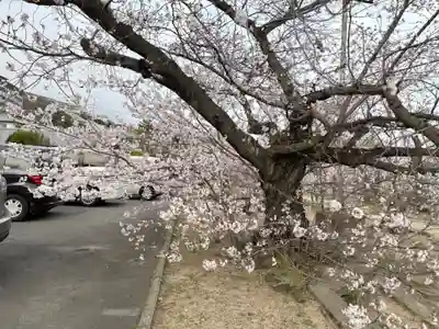 兵庫縣神戸護國神社の自然