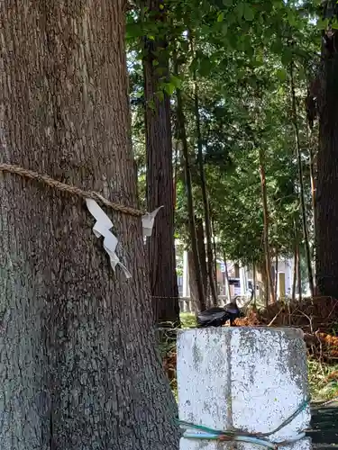 深見神社(神奈川県)