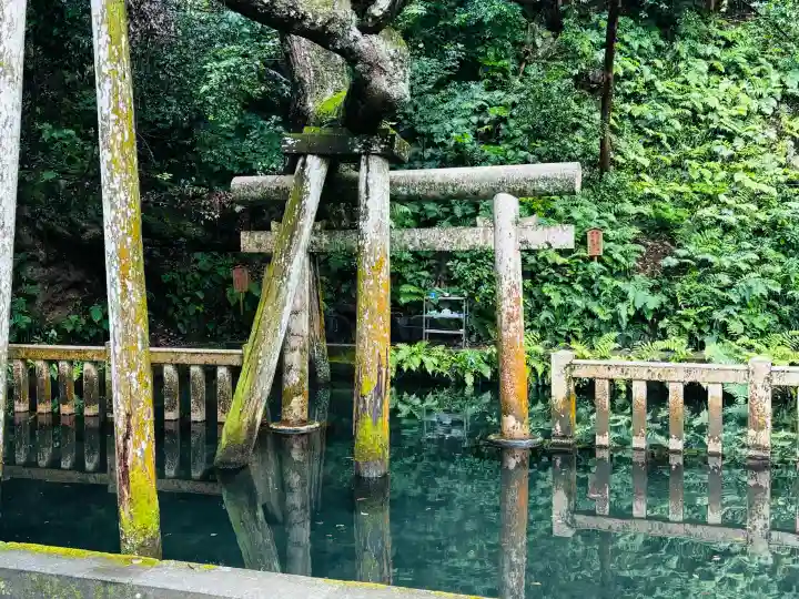 鹿島神宮(茨城県)