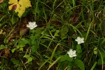戸隠神社奥社(長野県)