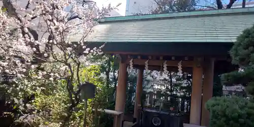 芝大神宮の庭園