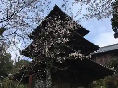 一乗寺のその他建物