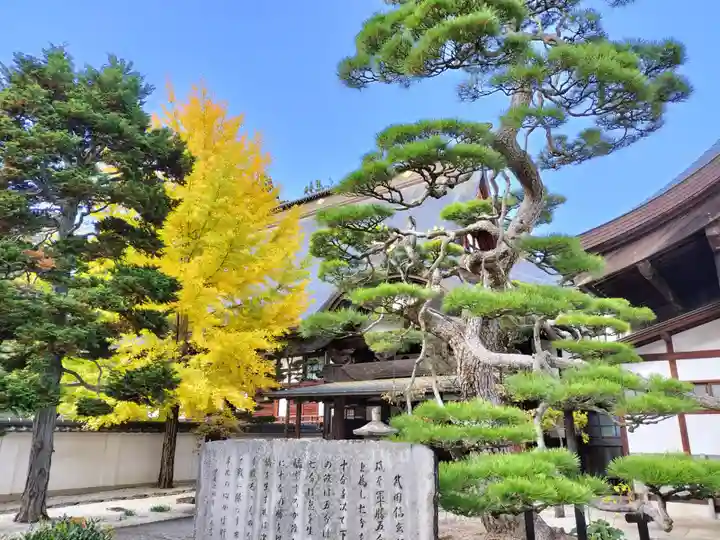恵林寺(山梨県)