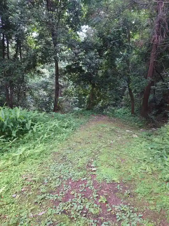 一之宮貫前神社の自然