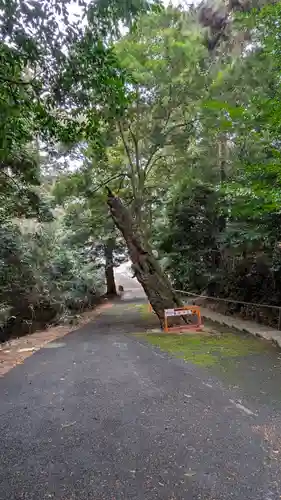 箭簳神社(滋賀県)