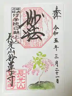 馬酔木
