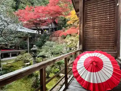 柳谷観音　楊谷寺(京都府)
