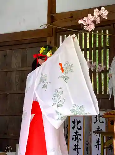 北赤井神社の神楽