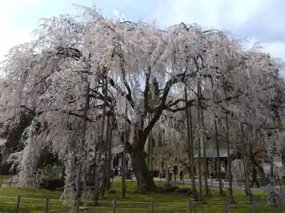 足羽神社(福井県)