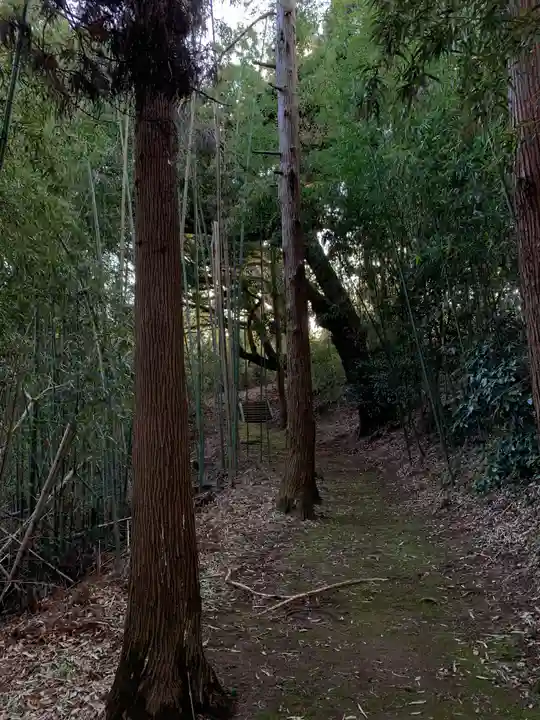 愛宕神社の周辺