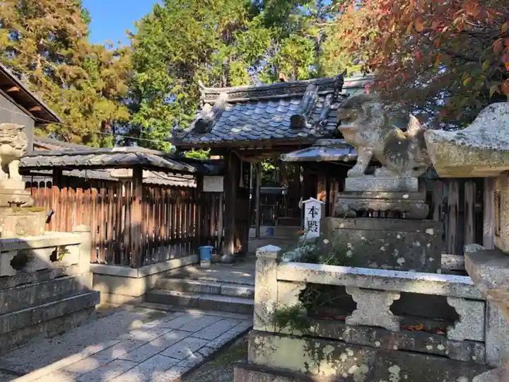 伊豆神社の狛犬