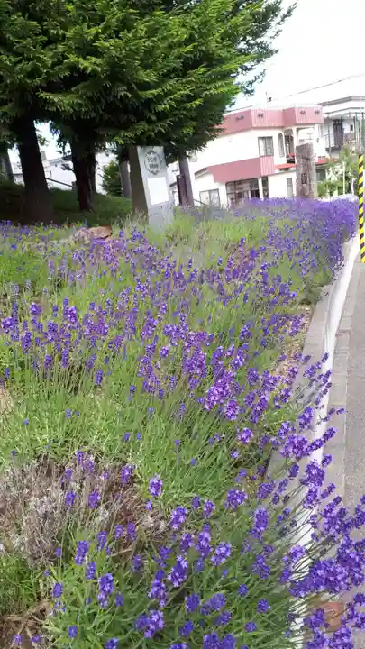 札幌南沢神社の周辺