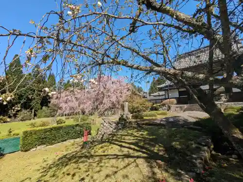 天喜寺(岐阜県)