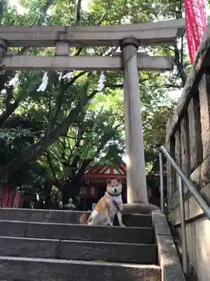 笠䅣稲荷神社の鳥居