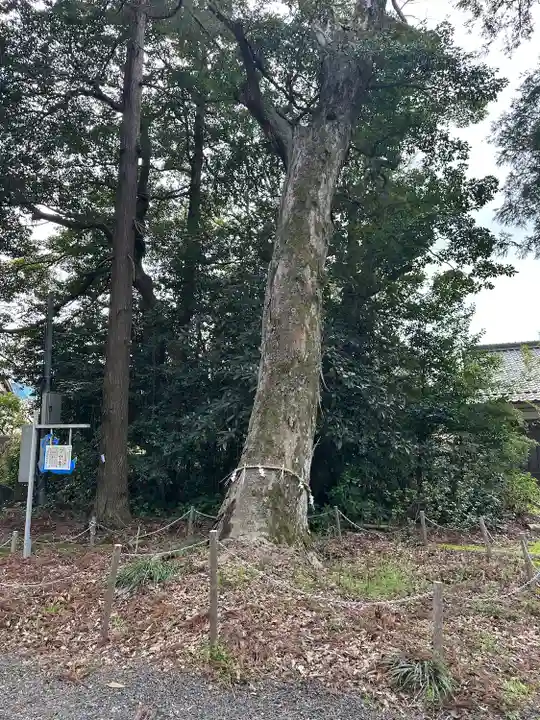 青海神社(福井県)