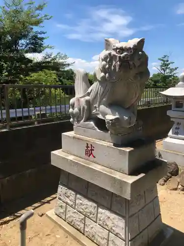 神明神社の狛犬