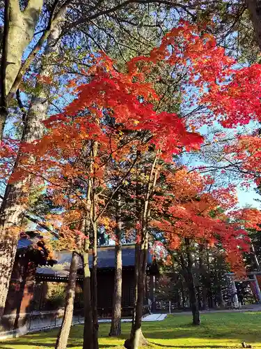 上川神社の景色