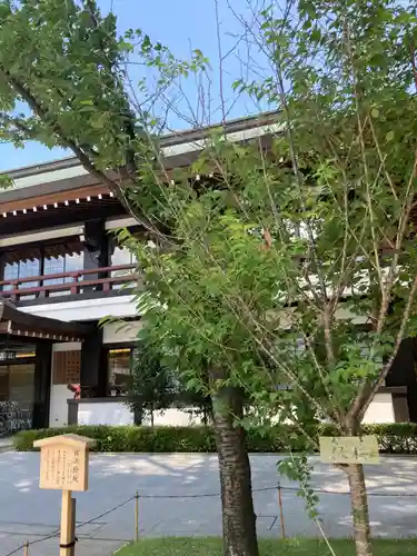 寒川神社の自然