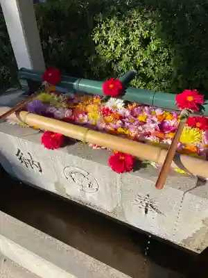 伊和志津神社(兵庫県)