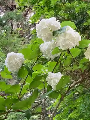 満願寺(長野県)