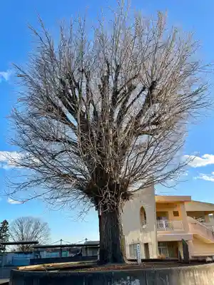 全水寺(栃木県)