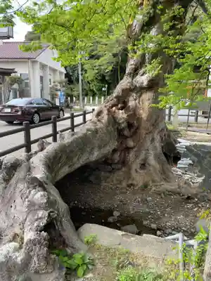 柏原大神宮(兵庫県)