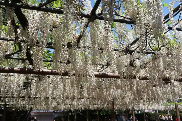 曼陀羅寺(愛知県)