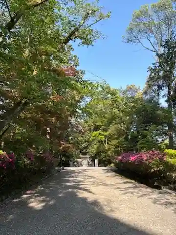 園城寺（三井寺）のその他建物