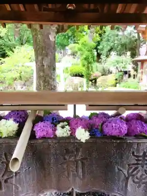 鳩森八幡神社の手水舎