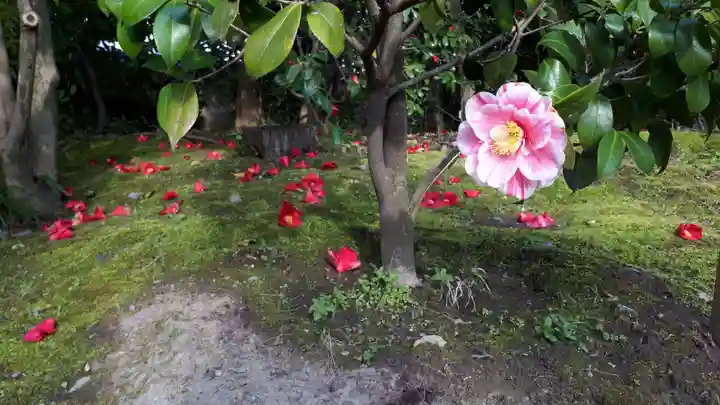 城南宮(京都府)