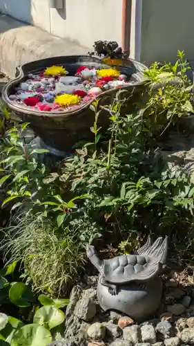 清凉院(京都府)