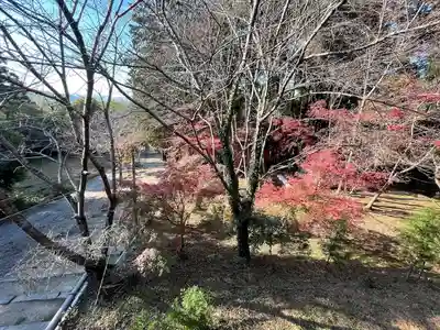 望湖神社(滋賀県)