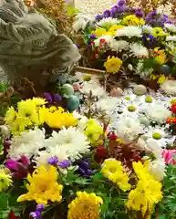 滑川神社 - 仕事と子どもの守り神の手水