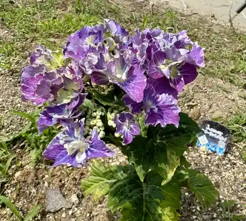 熊野福藏神社(福島県)