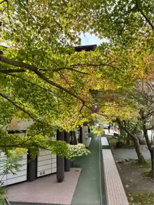 鎌倉宮(神奈川県)