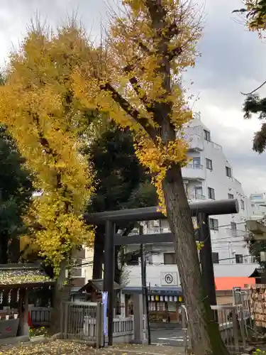 高円寺氷川神社の鳥居