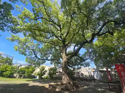 止止呂支比売命神社(大阪府)