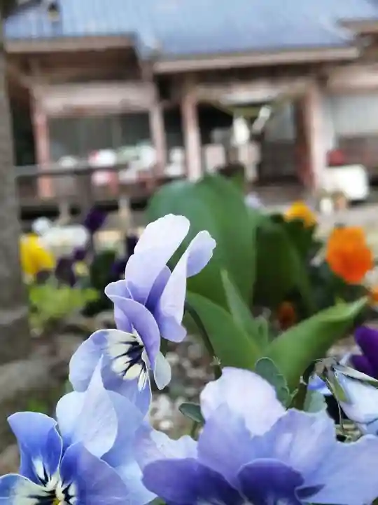 千代ケ岡八幡宮の自然