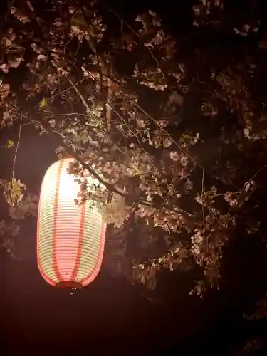 華蔵寺の{uncategorized: "未分類", other: "その他", undefined: "問題あり", building: "その他建物", grave: "お墓", sacred_gate: "鳥居", guardian: "狛犬", statue: "像", buddha: "仏像", history: "歴史", nature: "自然", garden: "庭園", animal: "動物", pagoda: "塔", temizu: "手水舎", mountain_gate: "山門・神門", sanctuary: "本殿・本堂", subordinate: "末社・摂社", art: "芸術", scenery: "景色", jizo: "地蔵", ema: "絵馬", goshuin: "御朱印", omikuji: "おみくじ", items: "授与品その他", amulet: "お守り", goshuincho: "御朱印帳", eats: "食事", festival: "お祭り", votive_dance: "神楽", shichigosan: "七五三参", wedding: "結婚式", experience: "体験その他", initially: "初詣", around: "周辺", anti_infection: "感染症対策"}