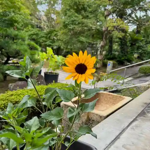 伊勢の国 四天王寺(三重県)